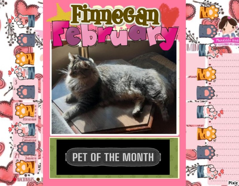 TuckersMom uploaded   81  day/s  ago