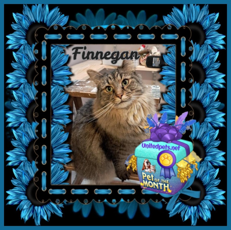 TuckersMom uploaded   51  day/s  ago