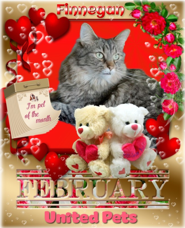 TuckersMom uploaded   81  day/s  ago