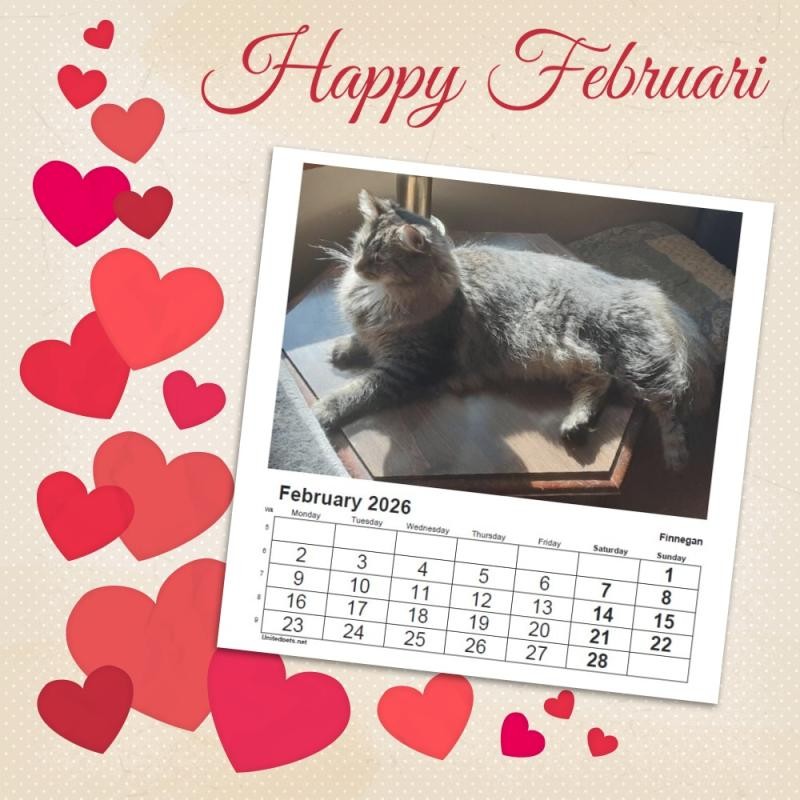 TuckersMom uploaded   51  day/s  ago