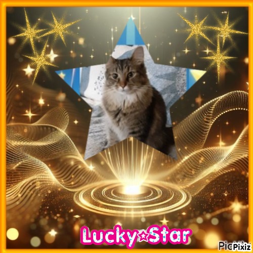 TuckersMom uploaded   51  day/s  ago