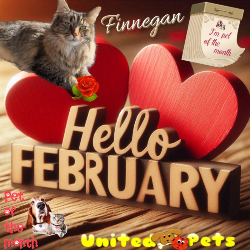 TuckersMom uploaded   51  day/s  ago