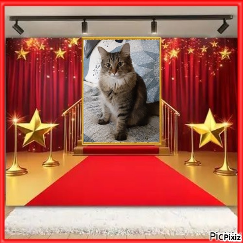 TuckersMom uploaded   51  day/s  ago