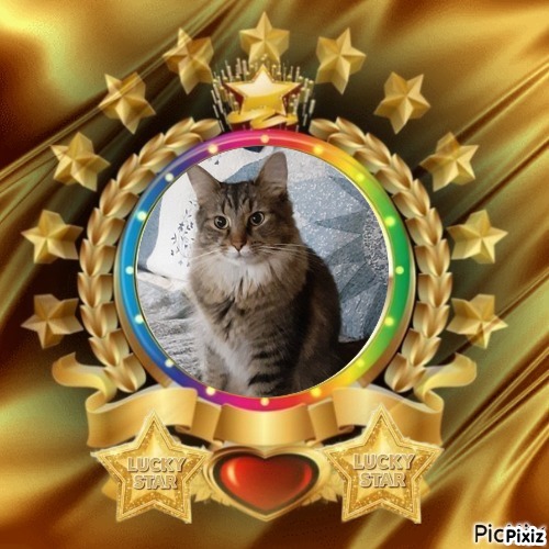 TuckersMom uploaded   51  day/s  ago