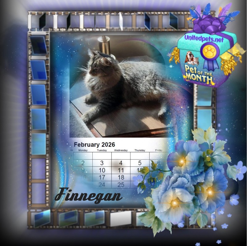 TuckersMom uploaded   81  day/s  ago