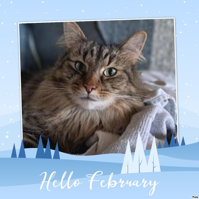 TuckersMom uploaded   81  day/s  ago