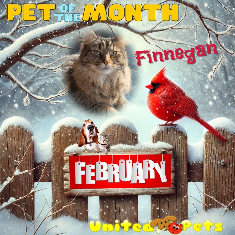 TuckersMom uploaded   51  day/s  ago