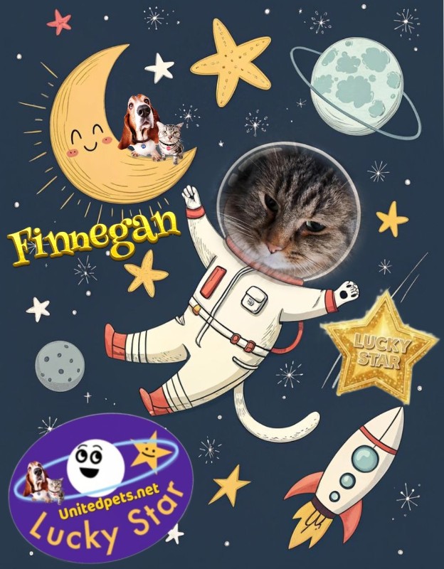 TuckersMom uploaded   51  day/s  ago