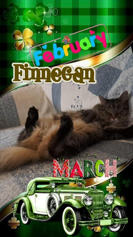 TuckersMom uploaded   51  day/s  ago