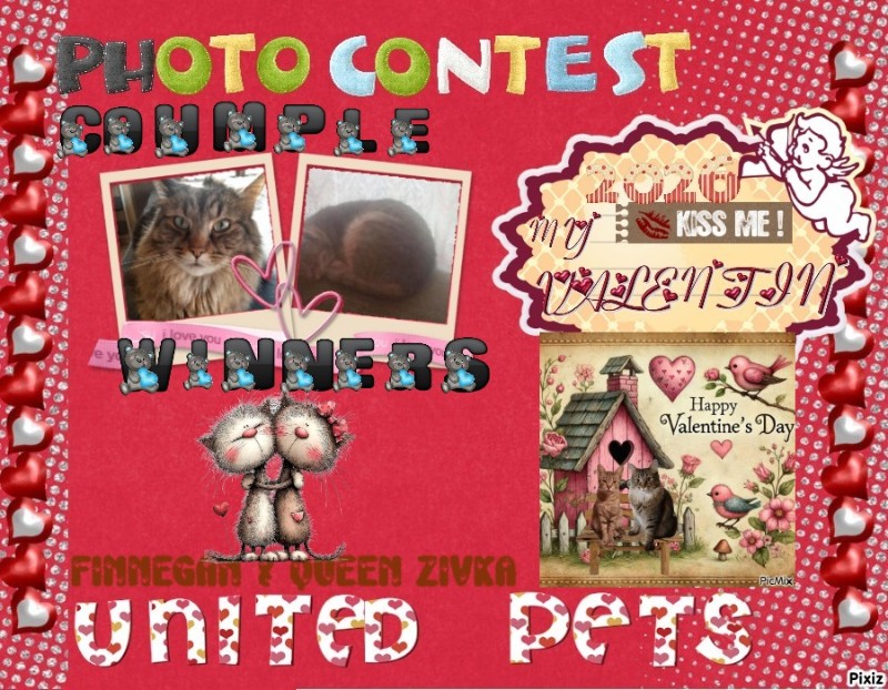 TuckersMom uploaded   51  day/s  ago