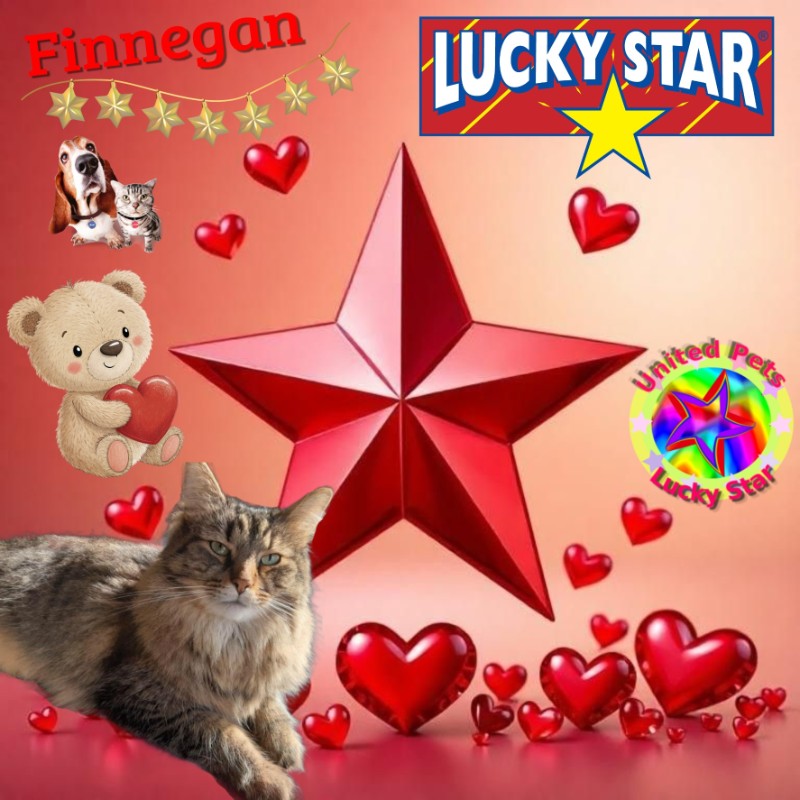 TuckersMom uploaded   51  day/s  ago