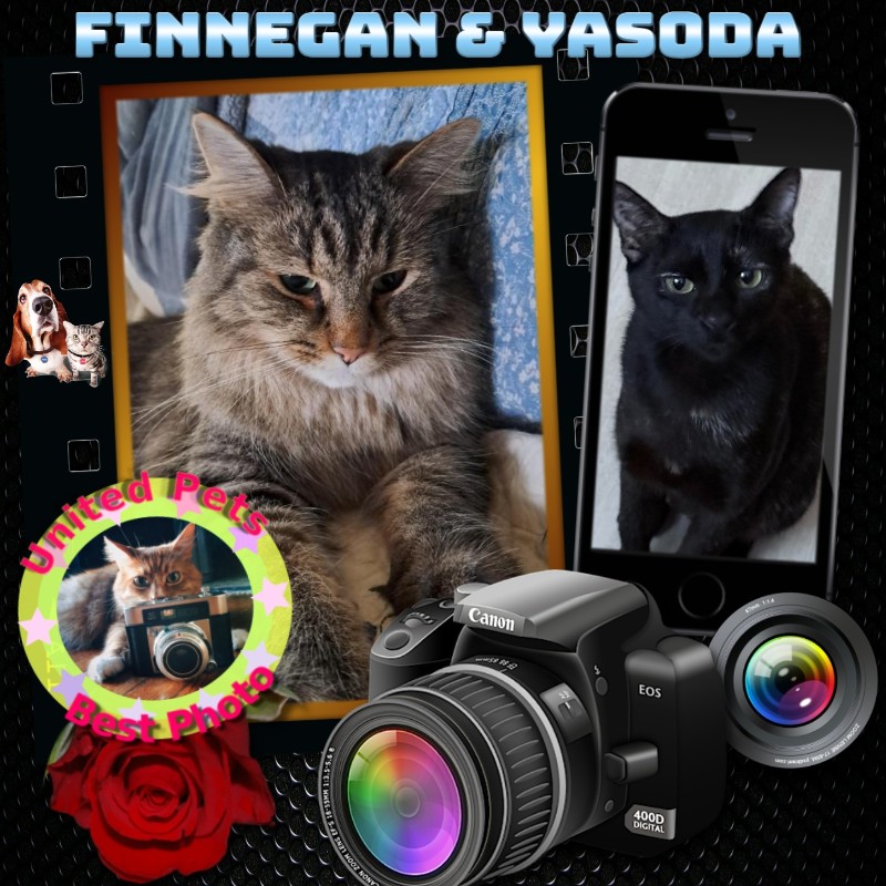 TuckersMom uploaded   27  day/s  ago