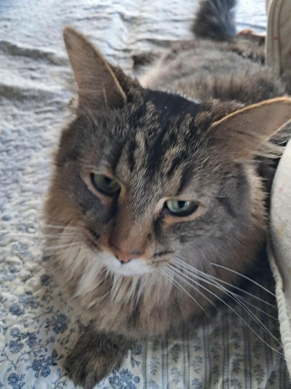 TuckersMom uploaded   1  day/s  ago