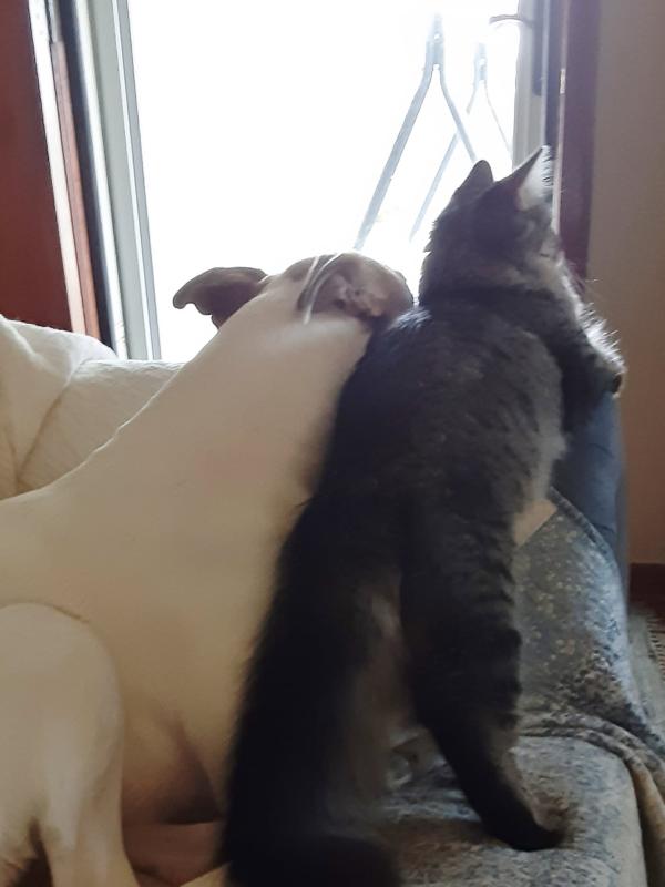 TuckersMom uploaded   21  day/s  ago