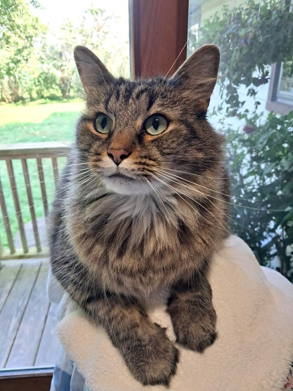 Finnegan of the TuckersMom family