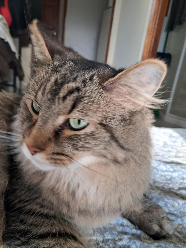 TuckersMom uploaded   1  day/s  ago