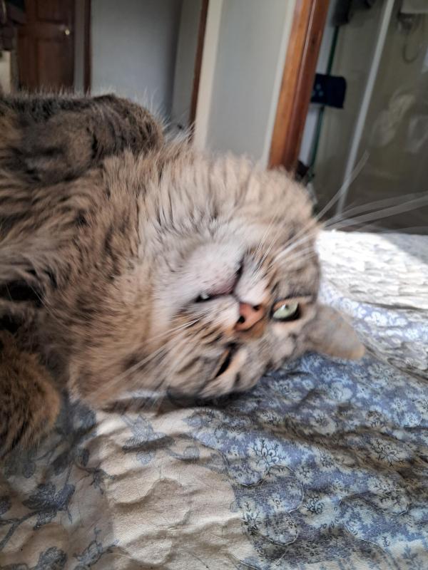 TuckersMom uploaded   1  day/s  ago