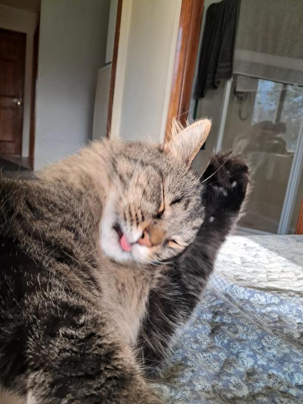 TuckersMom uploaded   1  day/s  ago