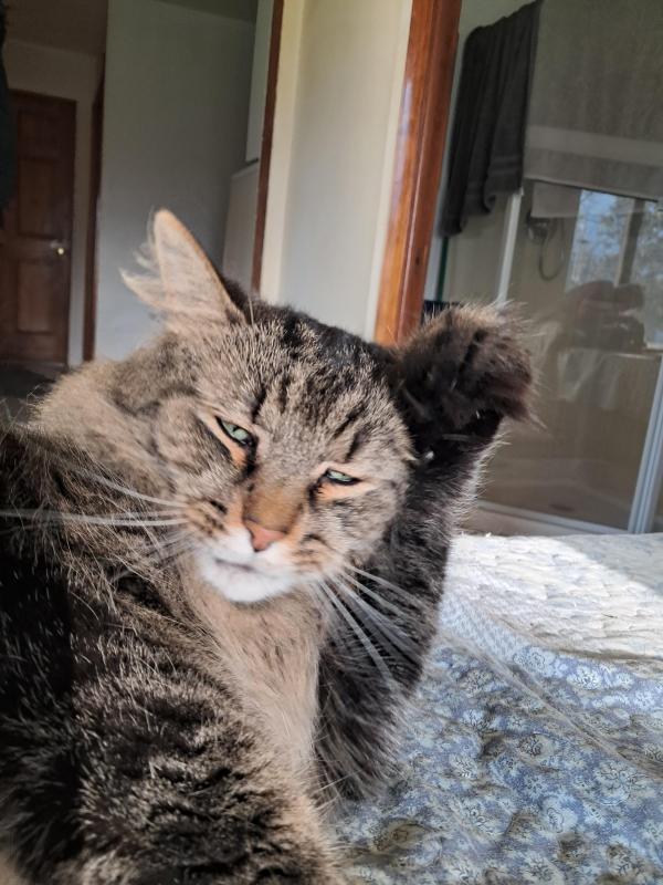 TuckersMom uploaded   1  day/s  ago