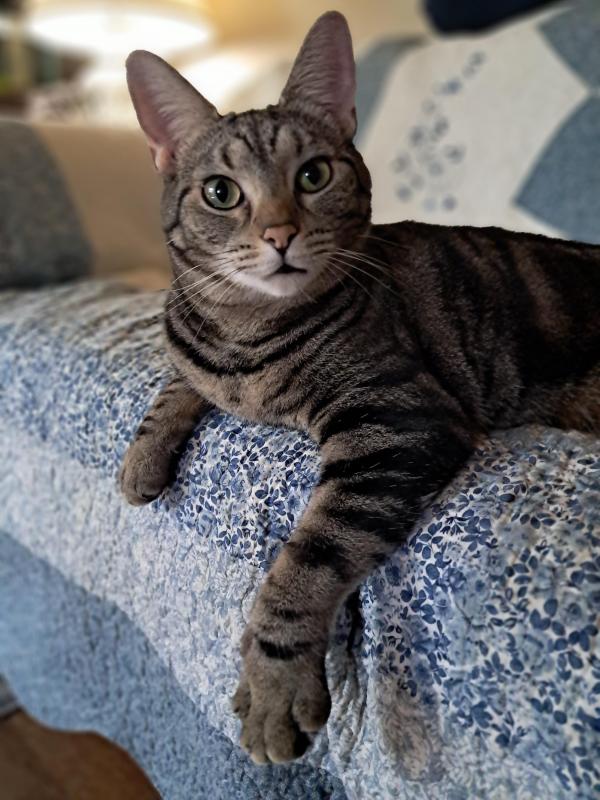 TuckersMom uploaded   205  day/s  ago