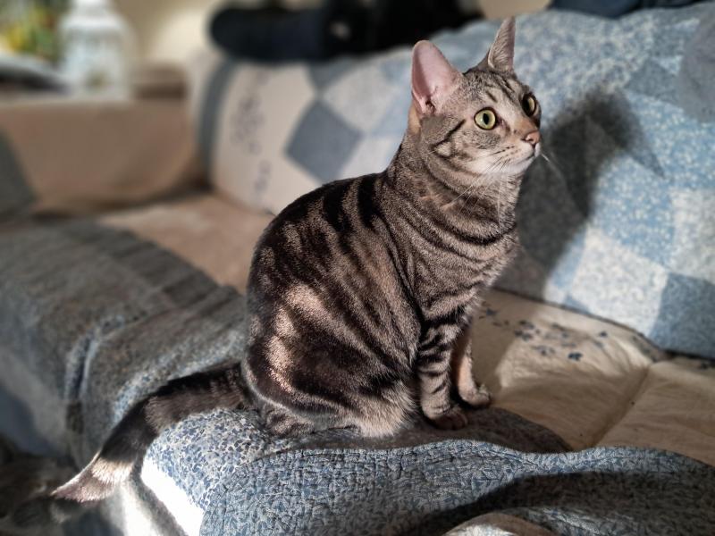 TuckersMom uploaded   176  day/s  ago