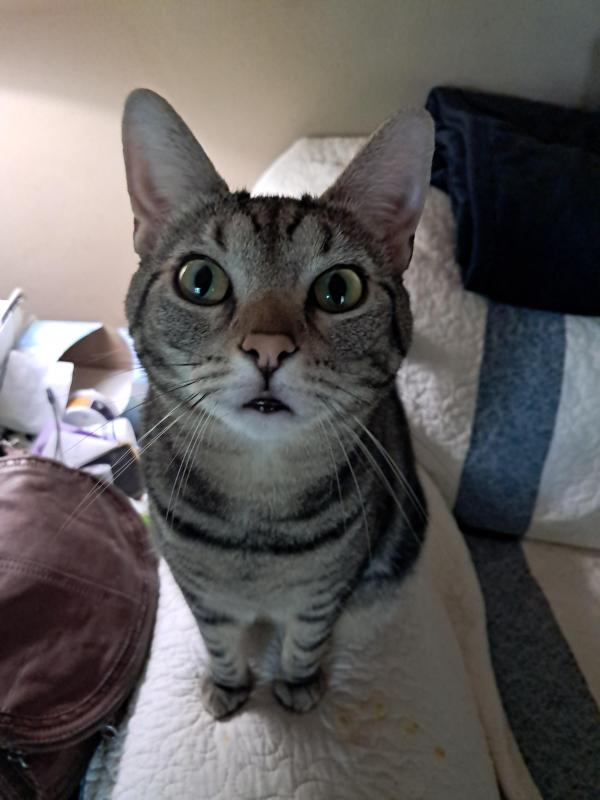 TuckersMom uploaded   176  day/s  ago