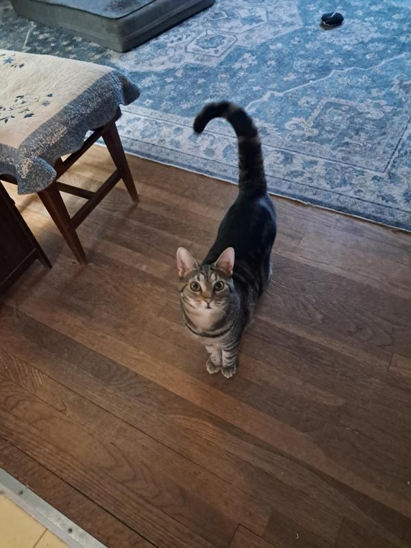 TuckersMom uploaded   1 year/s ago