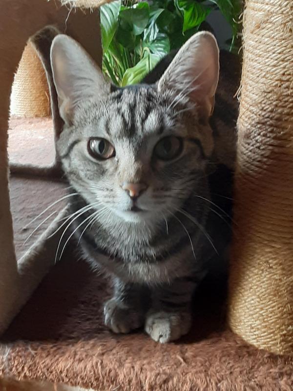 TuckersMom uploaded   329  day/s  ago