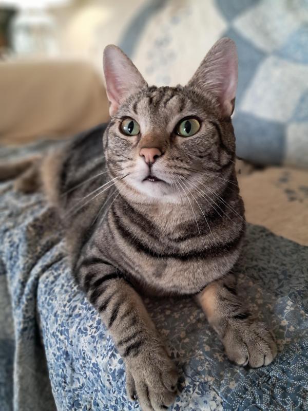 TuckersMom uploaded   295  day/s  ago