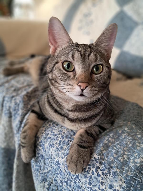 TuckersMom uploaded   1 year/s ago