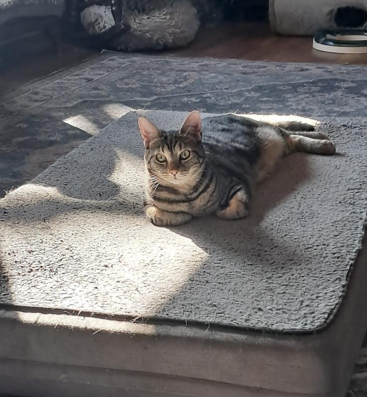 TuckersMom uploaded   1 year/s ago