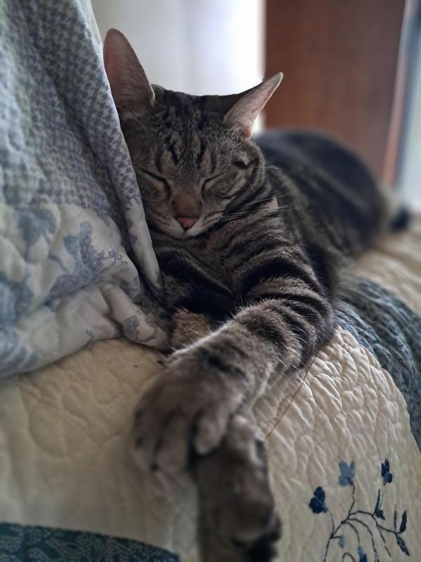 TuckersMom uploaded   1 year/s ago