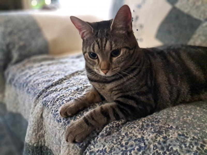 TuckersMom uploaded   211  day/s  ago