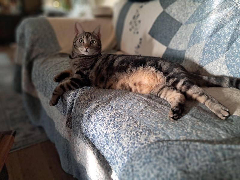 TuckersMom uploaded   176  day/s  ago