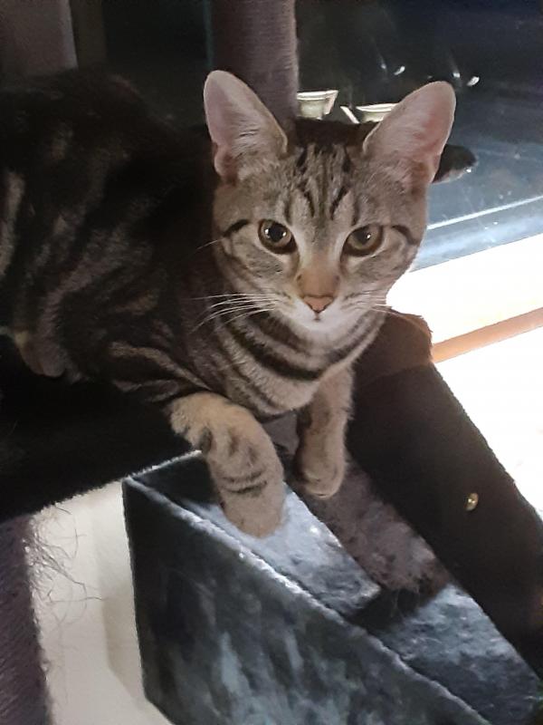 TuckersMom uploaded   1 year/s ago