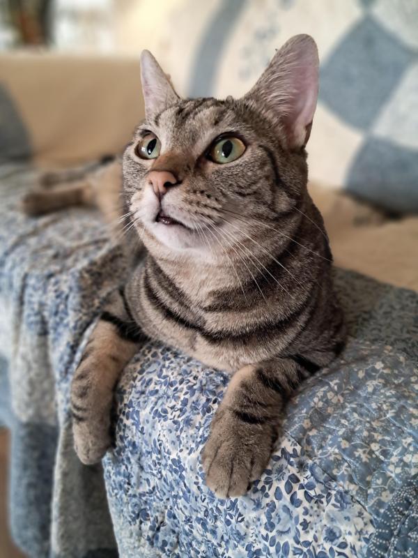 TuckersMom uploaded   1 year/s ago