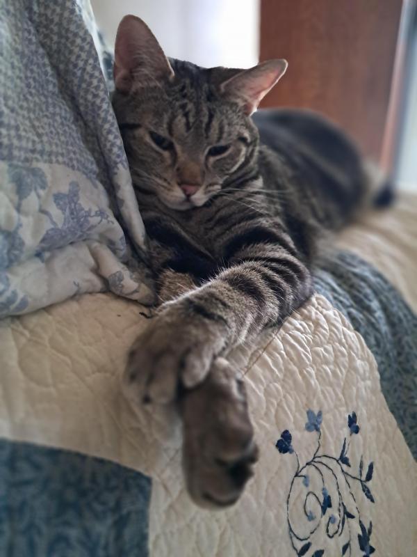 TuckersMom uploaded   1 year/s ago