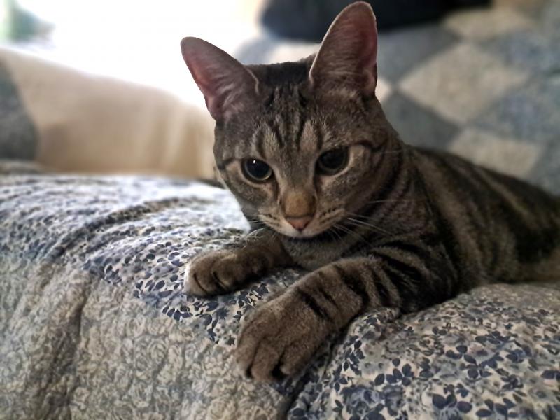 TuckersMom uploaded   211  day/s  ago