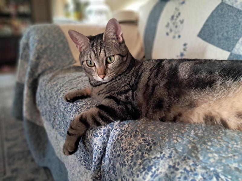 TuckersMom uploaded   176  day/s  ago