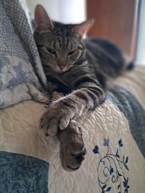 TuckersMom uploaded   1 year/s ago