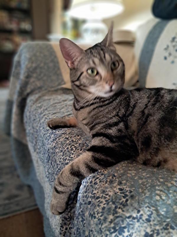 TuckersMom uploaded   176  day/s  ago