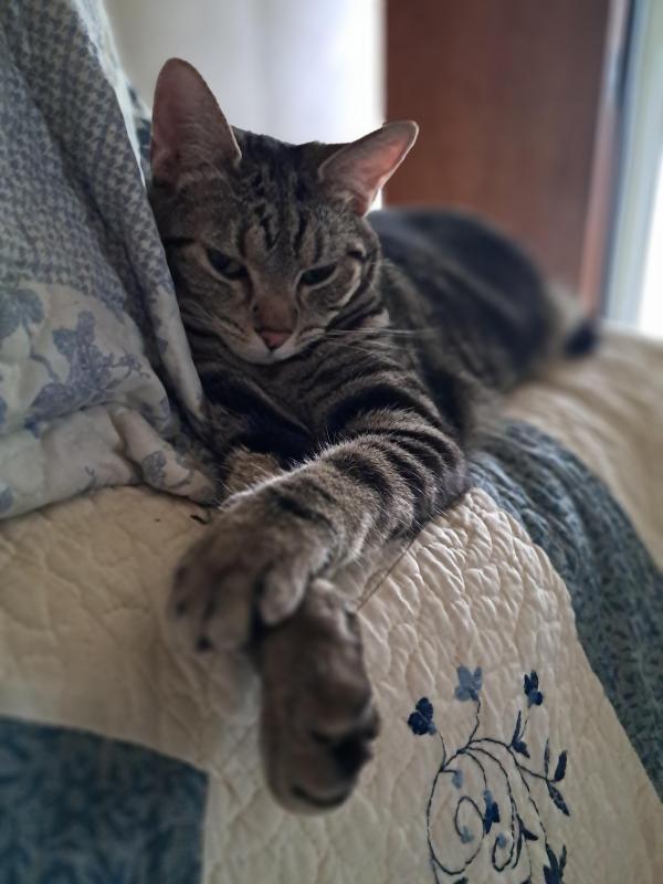 TuckersMom uploaded   1 year/s ago