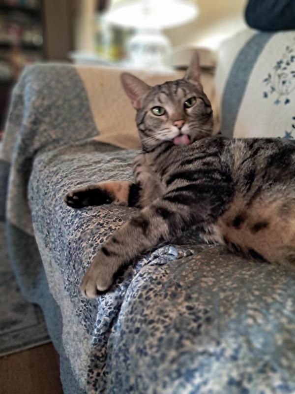 TuckersMom uploaded   176  day/s  ago