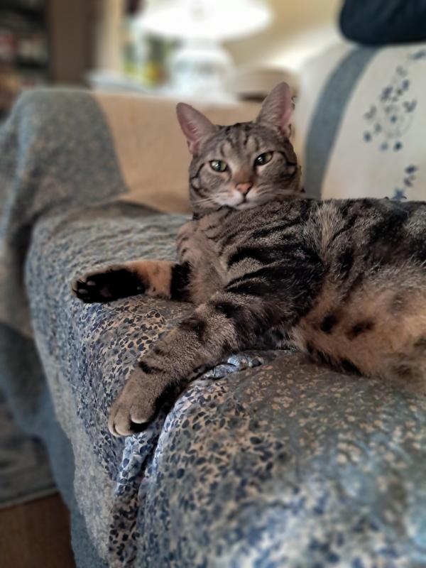 TuckersMom uploaded   176  day/s  ago