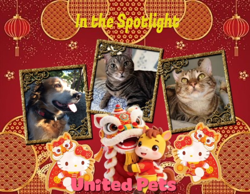 TuckersMom uploaded   81  day/s  ago