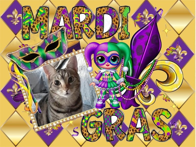 TuckersMom uploaded   81  day/s  ago