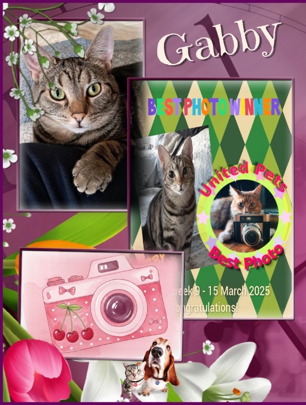 TuckersMom uploaded   4  day/s  ago