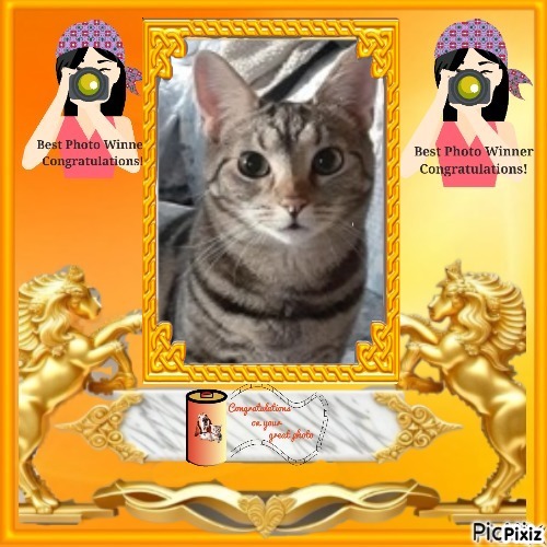 TuckersMom uploaded   4  day/s  ago