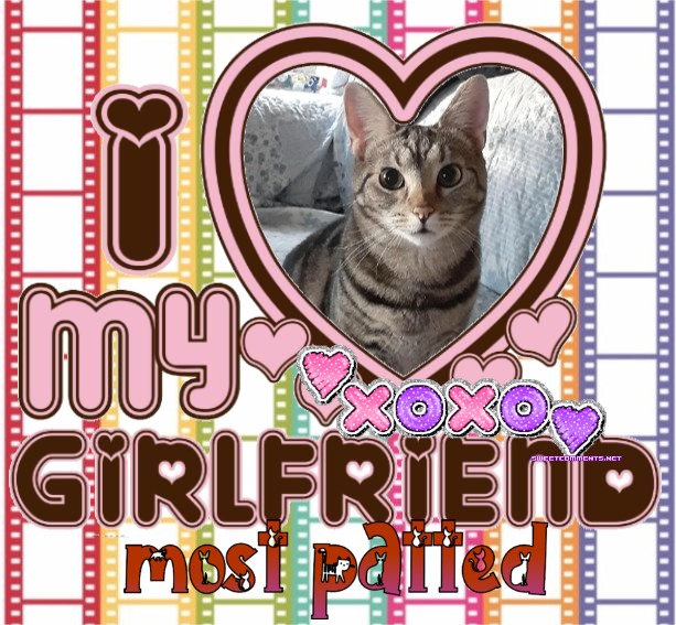 TuckersMom uploaded   4  day/s  ago