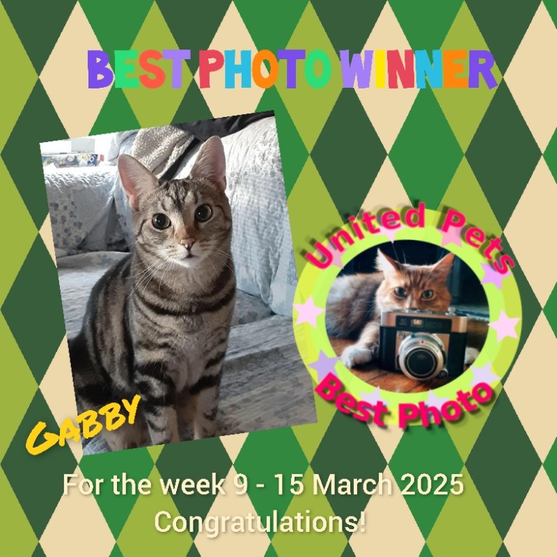 TuckersMom uploaded   4  day/s  ago